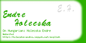 endre holecska business card